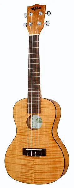 Kala Exotic Mahogany Concert