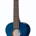 Le ukulélé Kala Exotic Tenor Ukulele BSF | Test, Avis & Comparatif