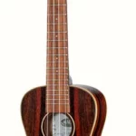 Le ukulélé Kala KA-EBY-C Ebony Concert Ukulele | Test, Avis & Comparatif
