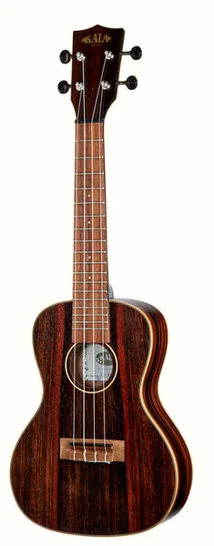 Kala KA-EBY-C Ebony Concert Ukulele