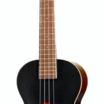 Le ukulélé Kala KA-JTE/2TS Tenor Ukulele | Test, Avis & Comparatif