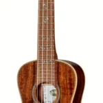 Le ukulélé Kala KA-SA-C Acacia Concert Ukulele | Test, Avis & Comparatif