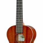 Le ukulélé Kala KA T Mahogany Tenor | Test, Avis & Comparatif