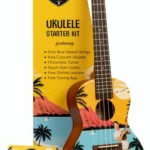 Le ukulélé Kala LTP-C-EBH Elvis Starter | Test, Avis & Comparatif