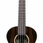 Le ukulélé Kala Premier Exotic Tenor Ukulele | Test, Avis & Comparatif