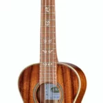 Le ukulélé Kala Solid Acacia Tenor Ukulele | Test, Avis & Comparatif