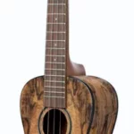 Le ukulélé Kala Spalted Mango Concert Ukulele | Test, Avis & Comparatif
