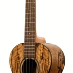 Le ukulélé Kala Spalted Mango Tenor Ukulele | Test, Avis & Comparatif