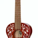 Le ukulélé Kala Tenor Ukulele Starter Kit | Test, Avis & Comparatif