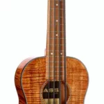 Le ukulélé Kala U-Bass Exotic Mahogany LH 4 | Test, Avis & Comparatif