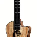 Le ukulélé Kala U-Bass Spalted Maple 4 NT | Test, Avis & Comparatif