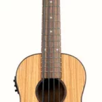 Le ukulélé Kala U-Bass Zebrawood 4 NT | Test, Avis & Comparatif