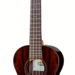 Le ukulélé Kala Ziricote Tenor Ukulele | Test, Avis & Comparatif