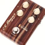 La Pédale d’effet L.R.Baggs Align Reverb Effektpedal – Photos, Tests & Avis