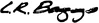 L.R.Baggs Para DI Gold Edition