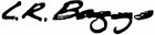 L.R.Baggs Align EQ Effektpedal - Photos, Tests & Avis