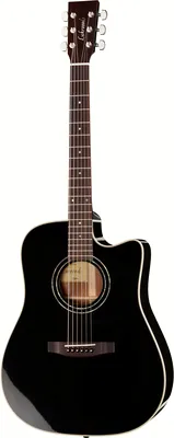 Lakewood D-14 CP BK