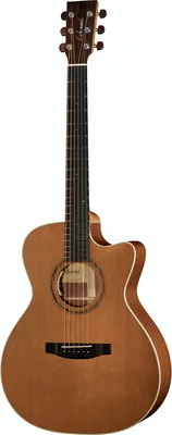 Lakewood M-14 CP