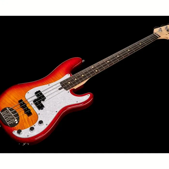Lakland Skyline 44-64 Deluxe 4 HOB – photo 11