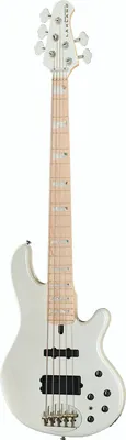 Lakland Skyline 55-02 MN PW