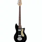 Avis basse électrique Lakland Skyline Hollowbody-30 4 BG