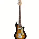 La basse électrique Lakland Skyline Hollowbody-30 4 TSG : Notre avis