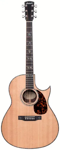 Larrivee C-10 Rosewood