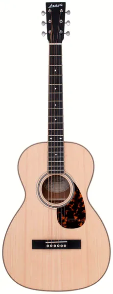 Larrivee D-40 Mahogany