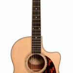 Guitare acoustique Larrivee LV-09 Rosewood | Test, Avis & Comparatif