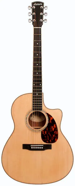 Larrivee LV-09 Rosewood