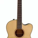 Guitare acoustique Larry Carlton A3-G NT | Test, Avis & Comparatif
