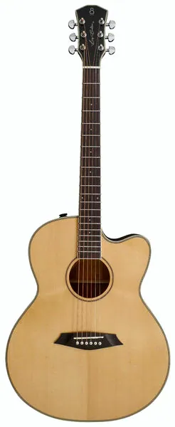 Larry Carlton A3-G NT