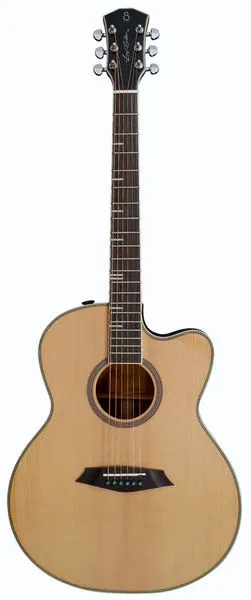 Larry Carlton A4-G NT