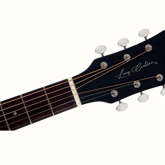 Larry Carlton G5A Natural – photo 5