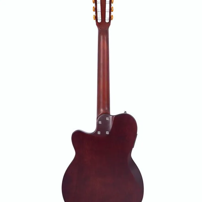 Larry Carlton G5N Natural – photo 4