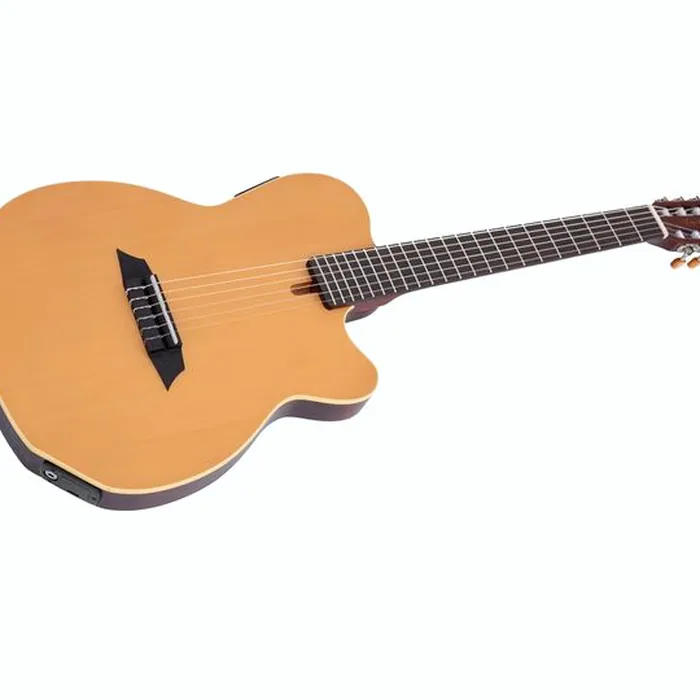 Larry Carlton G5N Natural – photo 6