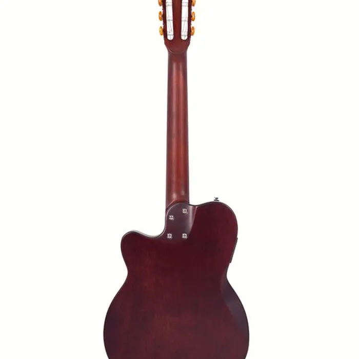Larry Carlton G5N Tobacco Sunburst – photo 4