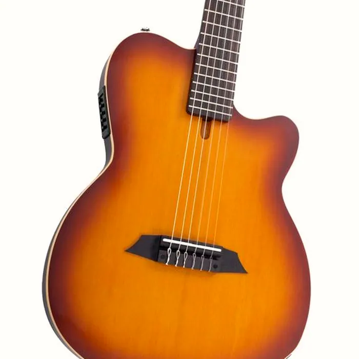 Larry Carlton G5N Tobacco Sunburst – photo 6