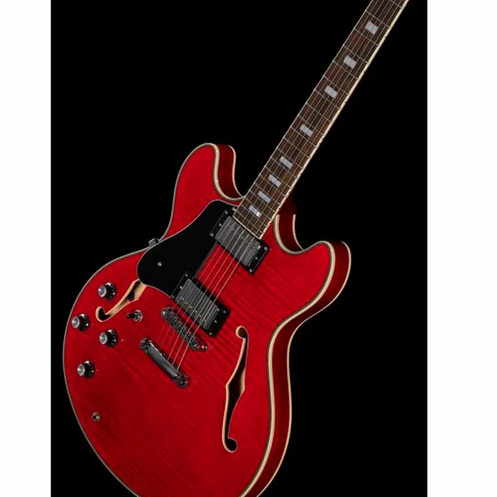 Larry Carlton H7 STR LH – photo 12