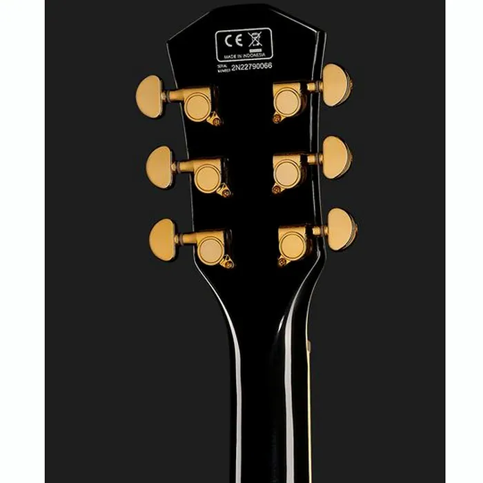 Larry Carlton H7V BK – photo 9