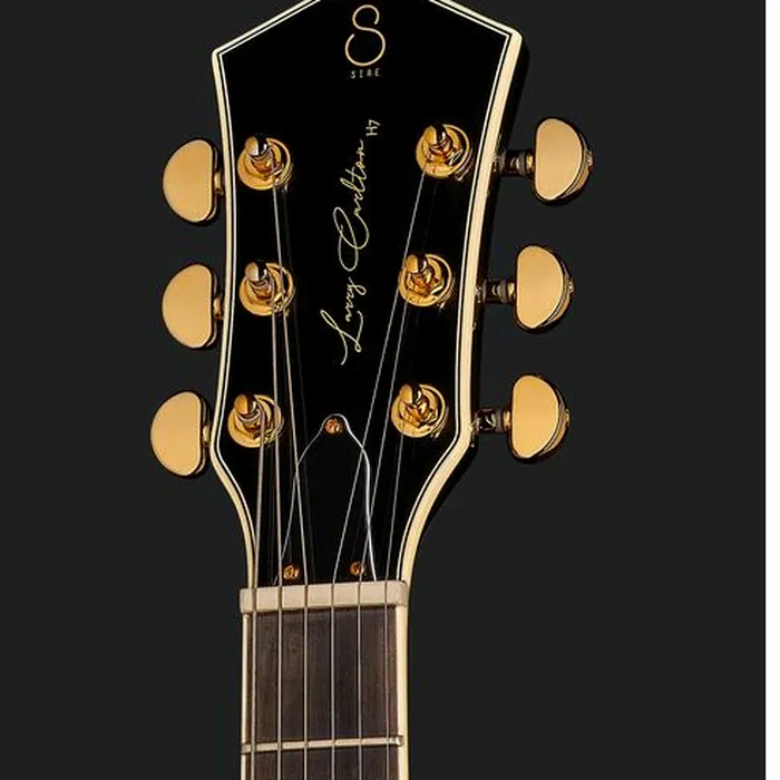 Larry Carlton H7V BK – photo 8
