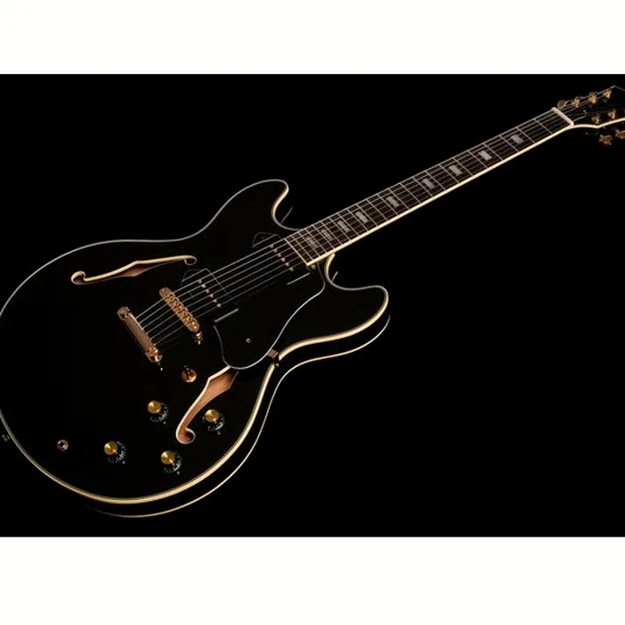 Larry Carlton H7V BK – photo 11