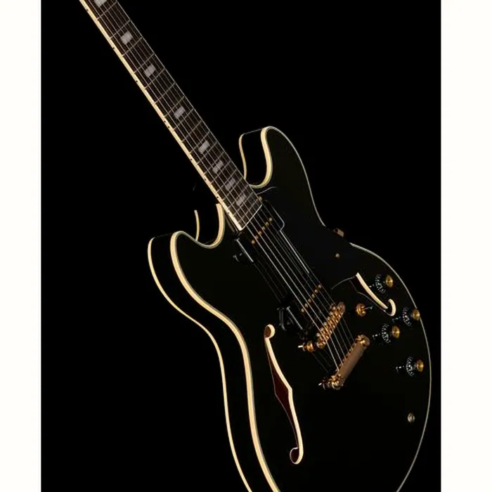 Larry Carlton H7V BK – photo 12
