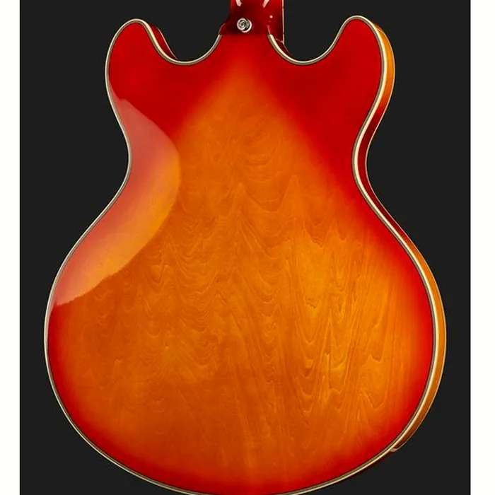 Larry Carlton H7V CS – photo 7