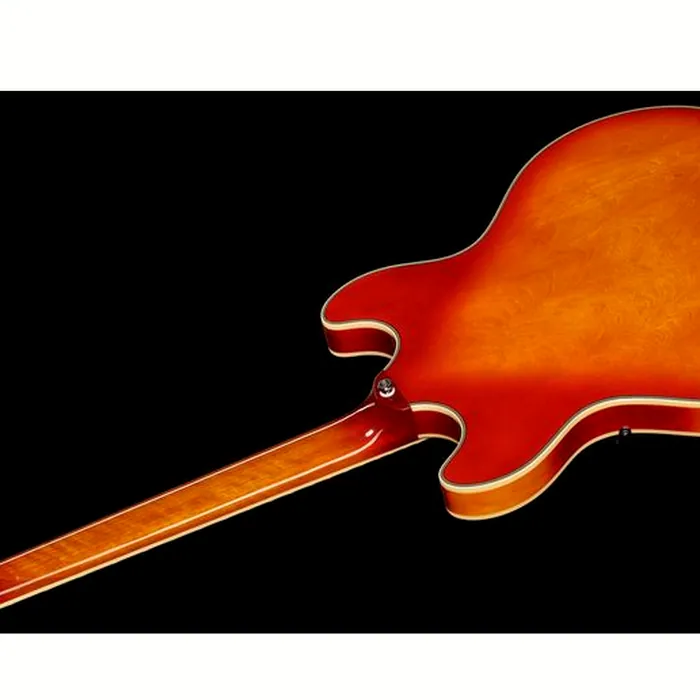Larry Carlton H7V CS – photo 10