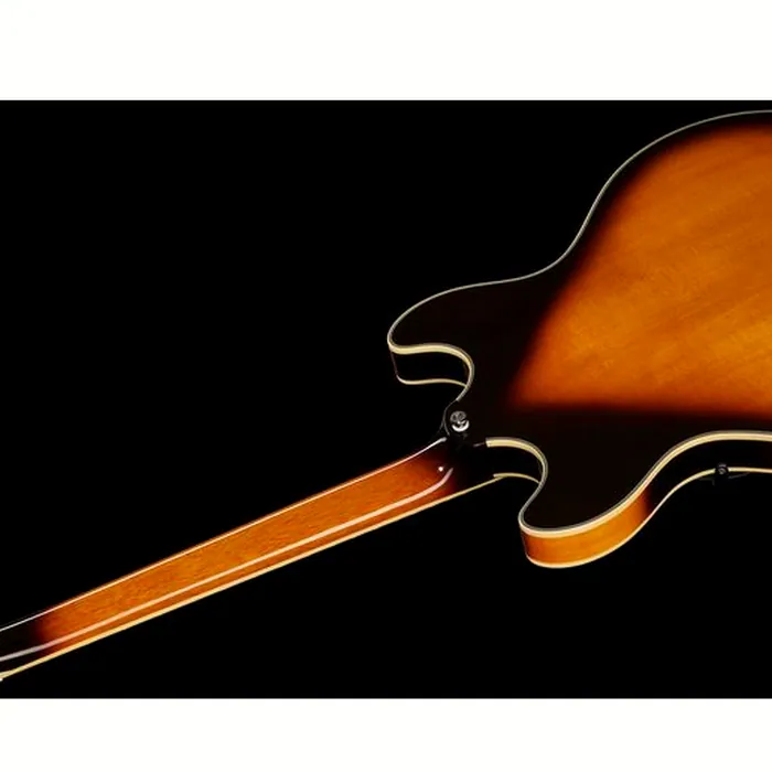 Larry Carlton H7V VS – photo 10