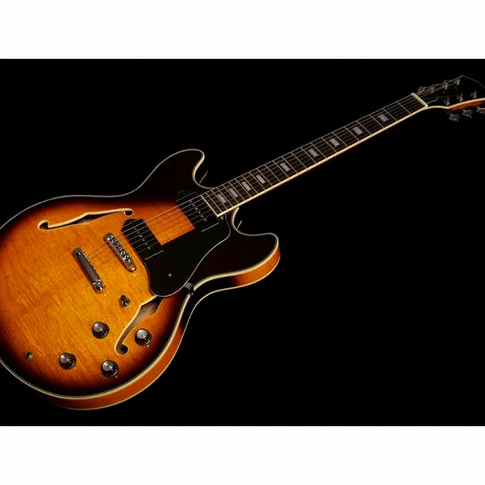 Larry Carlton H7V VS – photo 11