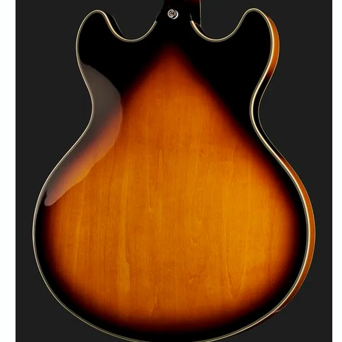 Larry Carlton H7V VS – photo 7