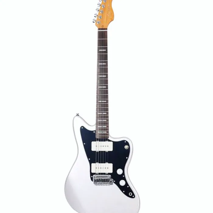 Larry Carlton J3 Silver – photo 2
