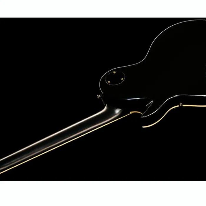 Larry Carlton L7 BK – photo 10
